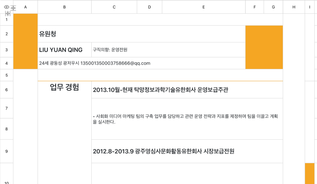 운영자 일반 이력서